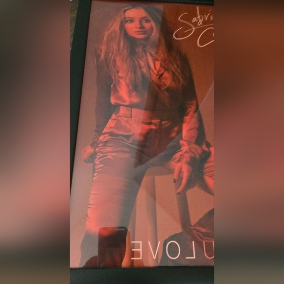 Sabrina Carpenter Evolution Poster ~20x14 - Picture 5 of 8
